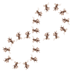 infinity and cricket