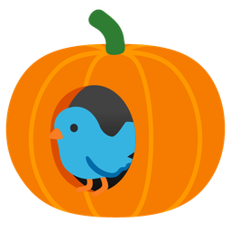 jack-o-lantern and bird