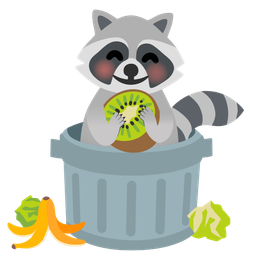 kiwi fruit and raccoon