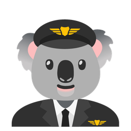 koala and airplane