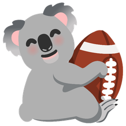 koala and american football