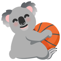 koala and basketball
