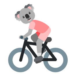 koala and bicycle