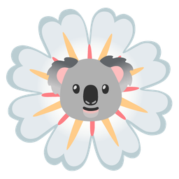 koala and blossom