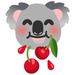 koala and cherries