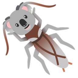 koala and cockroach