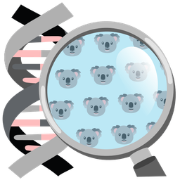 koala and dna