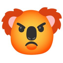 koala and enraged face