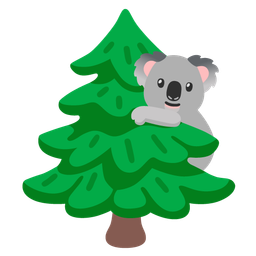 koala and evergreen tree