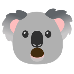 koala and face with open mouth