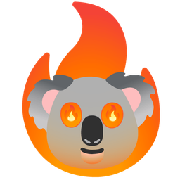koala and fire