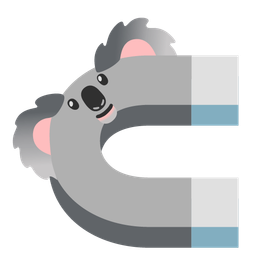 koala and magnet