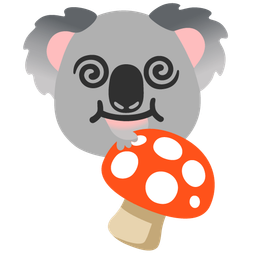 koala and mushroom