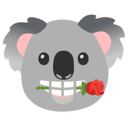 koala and rose