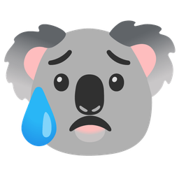 koala and sad but relieved face