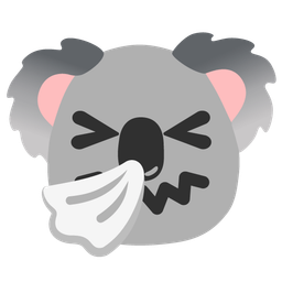 koala and sneezing face
