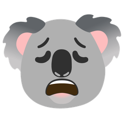 koala and weary face