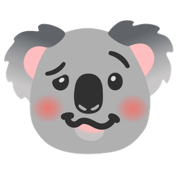 koala and woozy face