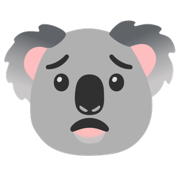 koala and worried face
