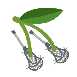 lacrosse and cherries