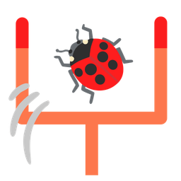 lady beetle and american football