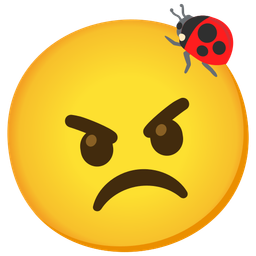 lady beetle and angry face