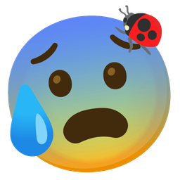 lady beetle and anxious face with sweat