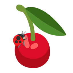 lady beetle and cherries