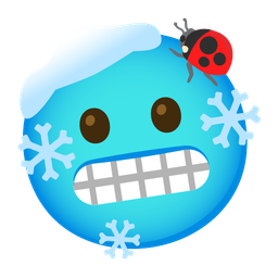 lady beetle and cold face