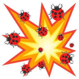 lady beetle and collision