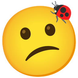 lady beetle and confused face