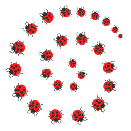 lady beetle and cyclone