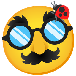 lady beetle and disguised face