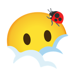 lady beetle and face in clouds