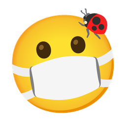 lady beetle and face with medical mask