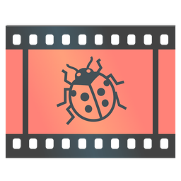 lady beetle and film frames