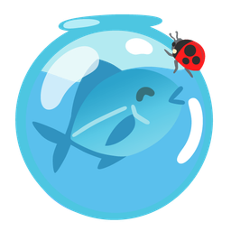 lady beetle and fish