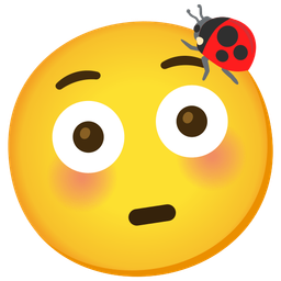 lady beetle and flushed face