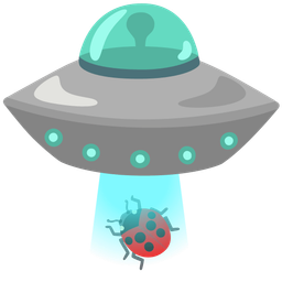 lady beetle and flying saucer