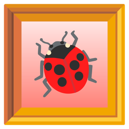 lady beetle and framed picture