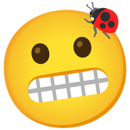 lady beetle and grimacing face