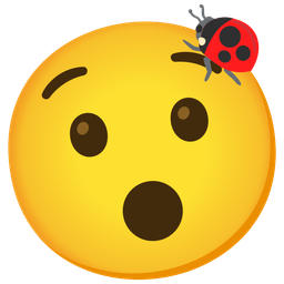 lady beetle and hushed face