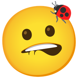 lady beetle and mouth