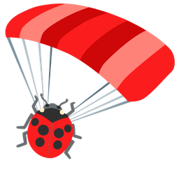 lady beetle and parachute