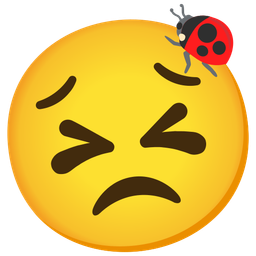 lady beetle and persevering face