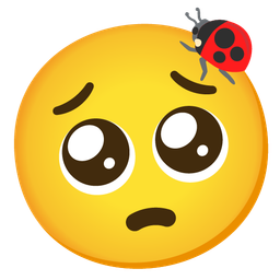 lady beetle and pleading face