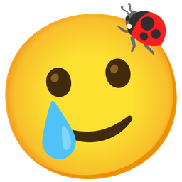 Lady beetle and Smiling face with tear