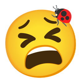 lady beetle and tired face