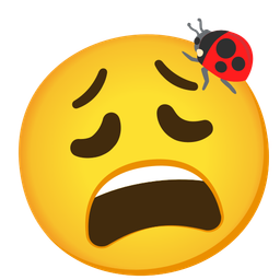 lady beetle and weary face