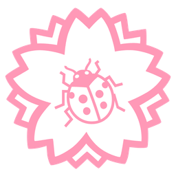 lady beetle and white flower